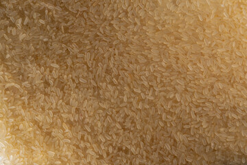 Rice grains are scattered evenly on the surface. Background of textured rice grains with good texture. Patterns of rice grains.