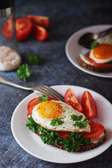 Sandwiches with fried eggs and tomatoes	