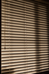 blinds with light bearing though