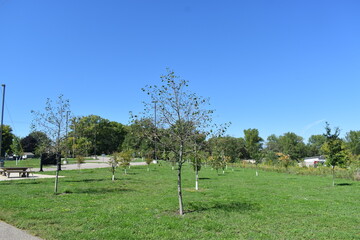 Obraz premium Trout Brook Nature Sanctuary a Summer Experience