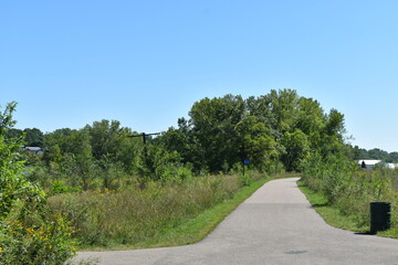 Trout Brook Nature Sanctuary a Summer Experience