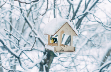 bird feeder on a tree in winter