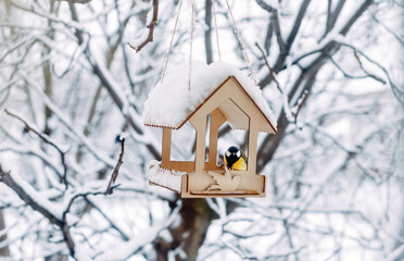 Naklejka premium a bird sits on a handmade feeder with crumbs and nuts, winter scene