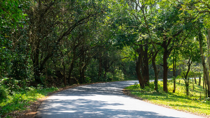 Kolhapur-Goa Scenic Valleys at Amboli Ghat in Winter season