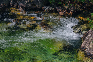 Summer landscape – close up mountain river in a forest - crystal pure water, rocks and lush foliage
