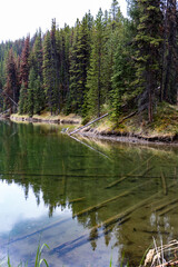 crystal clear water of Moose lake in the forest near Jasper Alberta