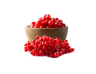 Berries viburnum in a bowl. Viburnum isolated on white background. Viburnum with copy space for text. Berries isolated on white background. Ripe viburnum close-up.