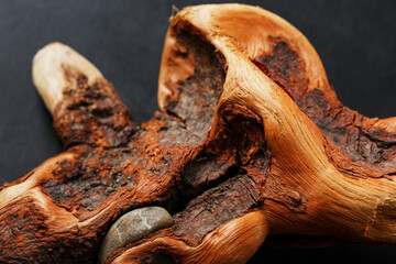 Graceful curved wood Driftwood on a black background