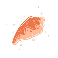 Pink spotted seashell, cone shell (conidae). Vector flat illustration
