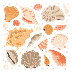 Set of multicolored sea shells. Vector flat illustration collection