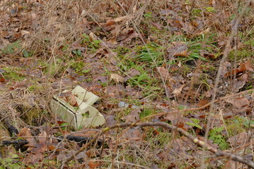 Obraz premium Plastic garbage in the forest.