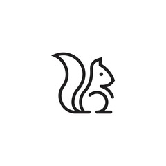 Fototapeta na wymiar Squirrel outline vector logo design concept.