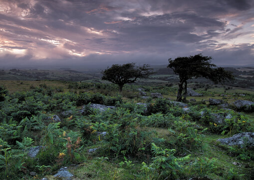 Dartmoor's Dramatic Beauty