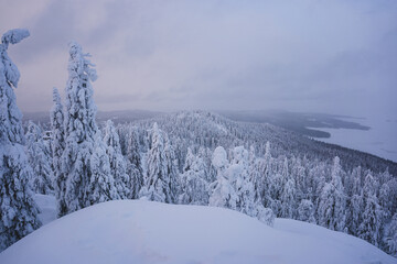 Beautiful winter landscape in the mountains