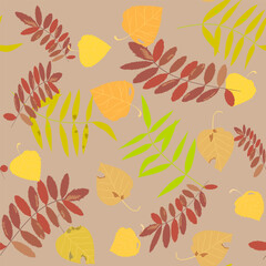 Naklejka na ściany i meble pattern golden autumn leaves of birch and ash