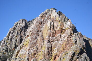 vulture rocks