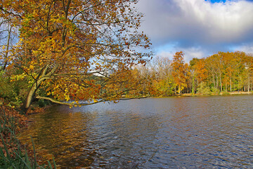 Couleurs d'automne au parc de la Tête d'Or à Lyon