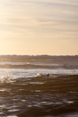 sunset on the beach