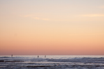 paddle boarders on the ocean at sunset