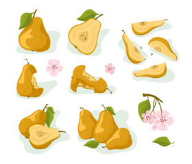 Pear. Set: whole fruit, half, pieces, bitten, leaves and flowers. Vector isolated on a white background.