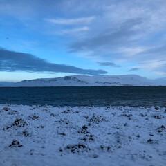 Rejreykjav&iacute;k Harbour
