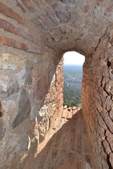 window to nature