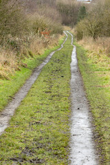 Fototapeta na wymiar two tracks disappearing down a muddy track 