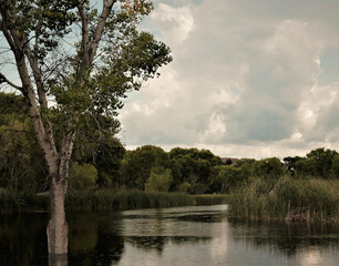 Obraz premium lake in the park