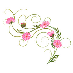 Pink rosy soft tender gentle flowers heart-shaped watercolor picture hearts hand drawn Valentines Day wedding love