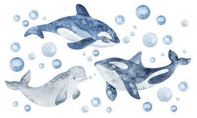 White whale and killer whale fish of the northern ocean. Watercolor illustrations of animals at the north pole. Illustration for kids suitable for sublimation, sticker, textile, book, encyclopedia.
