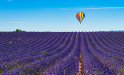 balloon flying over the lavender fields of Valensole in France.