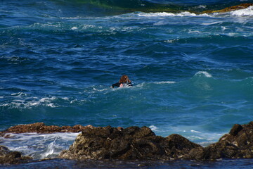 SURFERO EN UNA COSTA ROCOSA