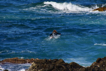 Fototapeta premium SURFERO EN UNA COSTA ROCOSA
