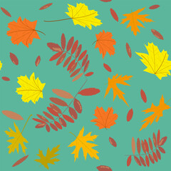 Fototapeta na wymiar pattern golden autumn leaves of maple and rowan