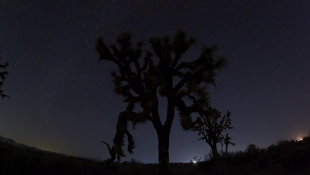 Joshua Tree Night Time Lapse with Milky Way in the background