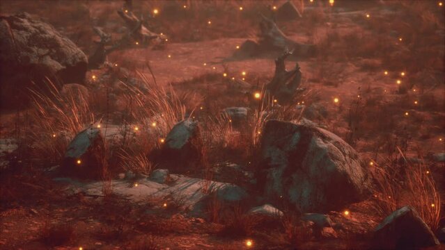 dry landscape with grass stones and fireflies