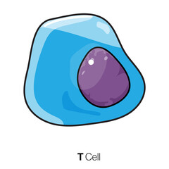 isolated t cell vector illustration.