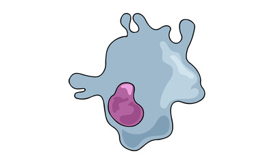 Dendritic Cell Biology Vector Illustration, White Background, Immunology Education Research Concept, Medical Design