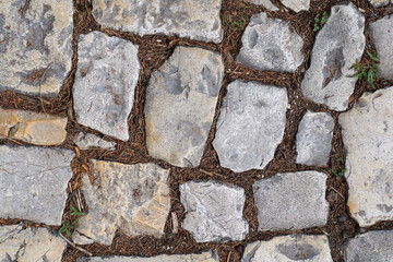 Close-up view from above of a cobblestone road. Gray paving stones with brown ground and dry needles between. Full frame image, texture or background for design, copy space