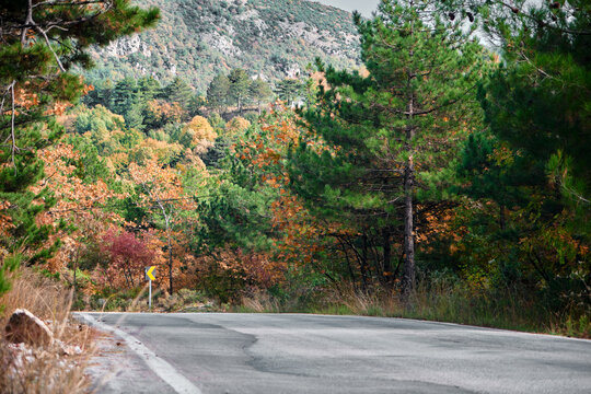 Asphalt road, low and wide angle photo of road with turning sign with autumnal, fall colors background hill.