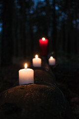 Lit candles in the night forest