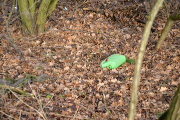 Dangerous plastic garbage in the forest.