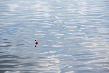 Fishing float on calm water © Immo