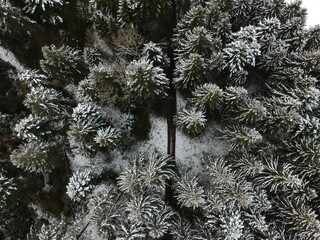 street and forest in winter aerial