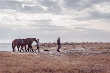 Fototapeta na wymiar around with horses on the beach Locri 