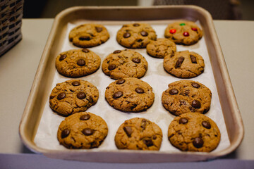 Cookies, with chocolate chips, inside a form, after being baked in an oven