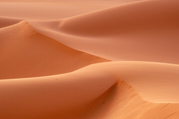 Sahara coral sand dunes, shapes, shades, color. Algeria, Mounlaga