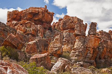 Fototapeta premium Cederberg Mountain Wilderness Area Scene 12796