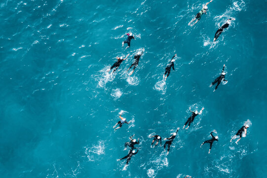 Overhead view of marathon swimmers during competition