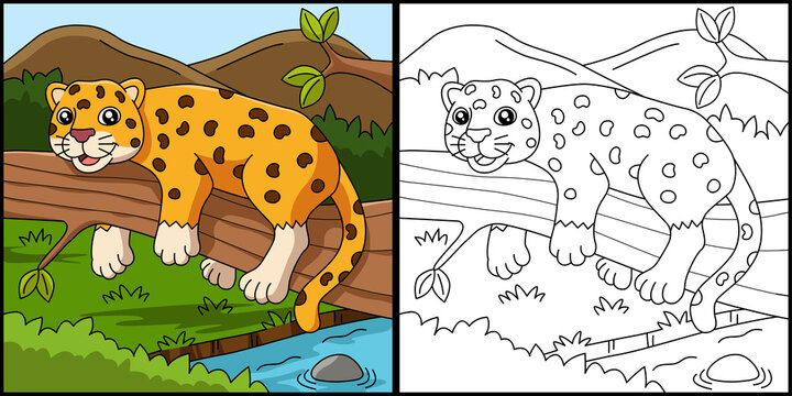 Jaguar Coloring Page Vector Illustration
